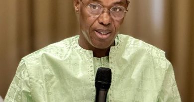 Dette intérieure du Mali
