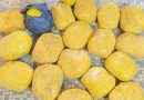 Bamako: P𝐥𝐮𝐬𝐢𝐞𝐮𝐫𝐬 𝐢𝐧𝐭𝐞𝐫𝐩𝐞𝐥𝐥𝐚𝐭𝐢𝐨𝐧𝐬 𝐞𝐭 𝐮𝐧𝐞 𝐢𝐦𝐩𝐨𝐫𝐭𝐚𝐧𝐭𝐞 𝐬𝐚𝐢𝐬𝐢𝐞 𝐝𝐞 𝐊𝐮𝐬𝐜𝐡
